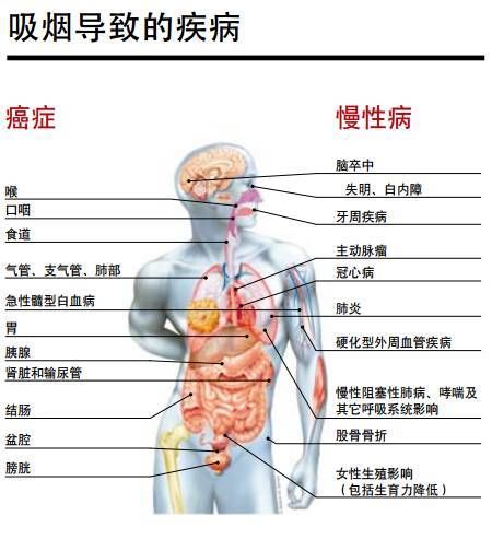 为什么国家能生产香烟 烟对身体有害,为啥国家还允许生产烟呢