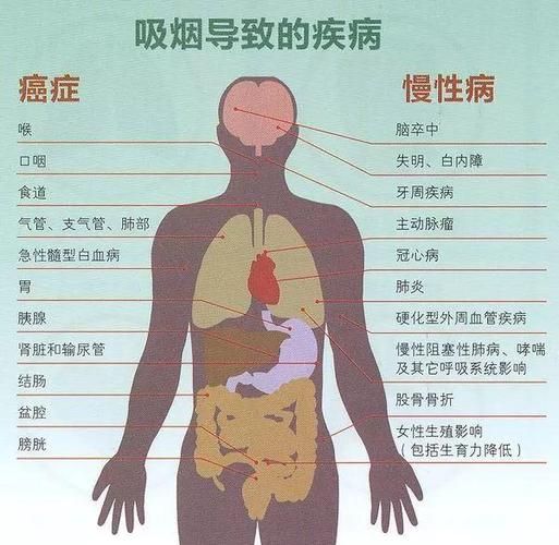 什么时候拔香烟好 什么时候抽烟对身体危害小点