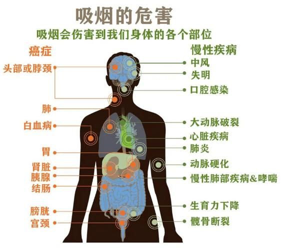 什么样的香烟危害小点 哪种香烟危害最大