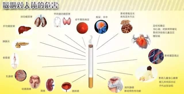 什么牌子的香烟致癌物 什么品牌香烟危害最小