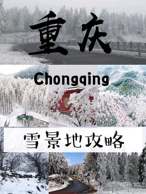 冰雪香烟重庆哪里有卖 重庆哪里有冰雪乐园