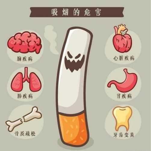 什么香烟不起痰 什么香烟不起痰又好抽