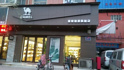 南宁哪里骆驼香烟 南宁哪里有骆驼专卖店