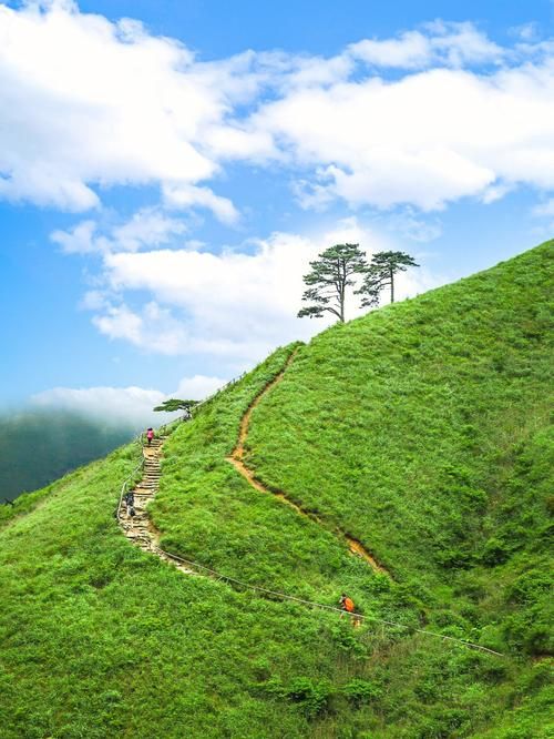 去武功山买什么香烟 去武功山买什么香烟比较好