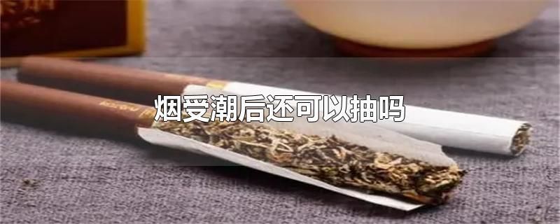 受潮的香烟有什么用 受潮香烟怎么处理