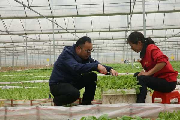 凯里香烟超市在哪里买 凯里烟酒批发市场在哪里