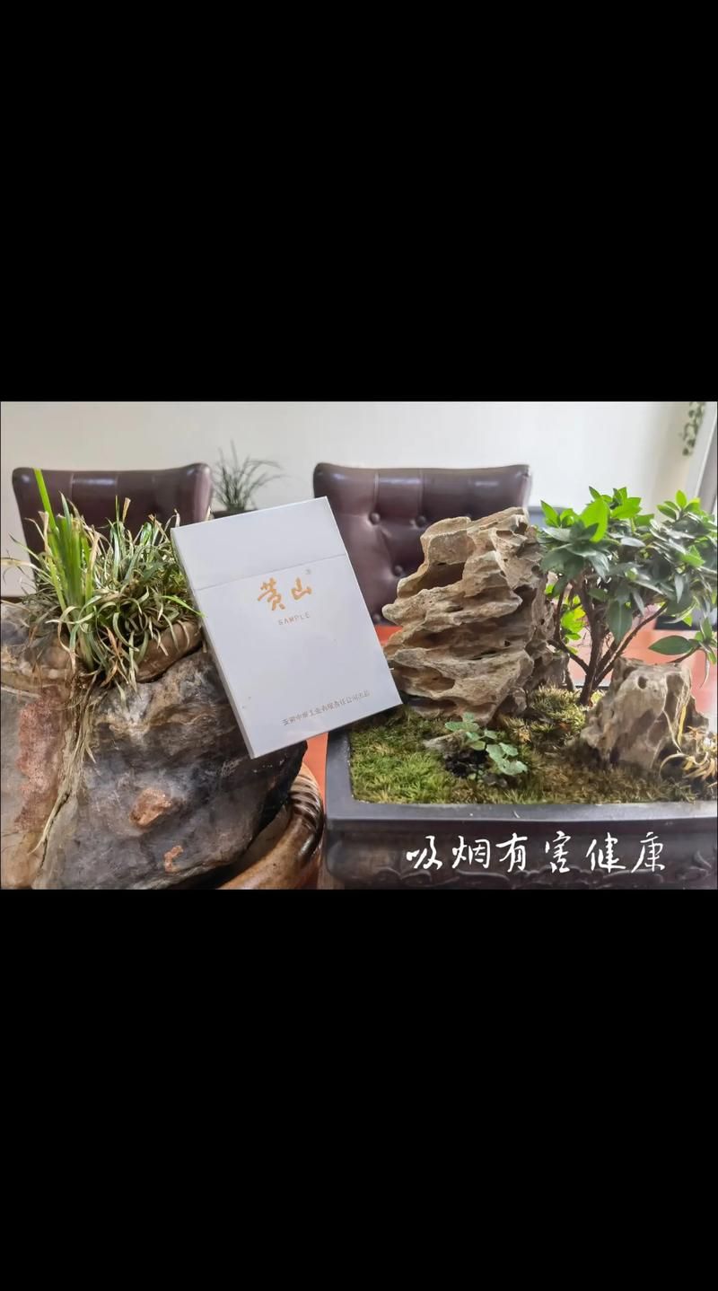 商薇香烟的寓意是什么 商薇香烟的寓意是什么意思