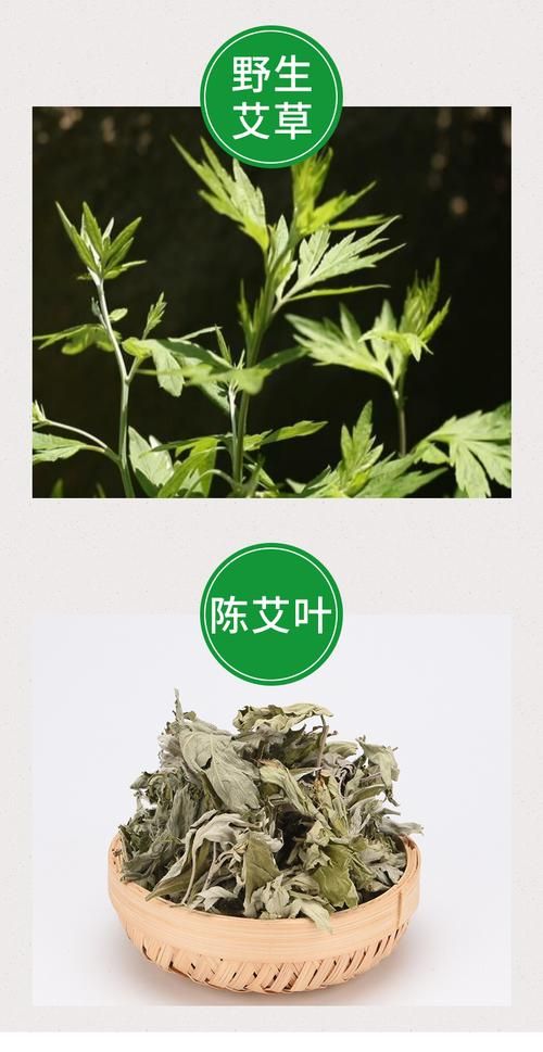 哪里定制艾草香烟好一点 哪里能买到艾草健康烟