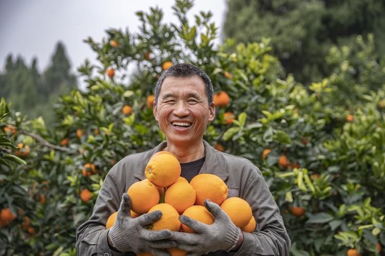 奉节批发香烟在哪里买 奉节批发香烟在哪里买的