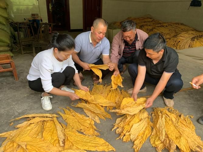 奉节批发香烟在哪里买 奉节批发香烟在哪里买的