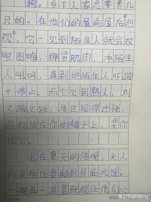 孤雁是什么香烟 孤雁啥意思