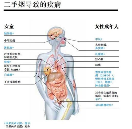 女人是香烟男人是什么 女人烟和男人烟的区别