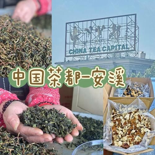 安溪县人都抽什么香烟 福建安溪产什么茶名茶