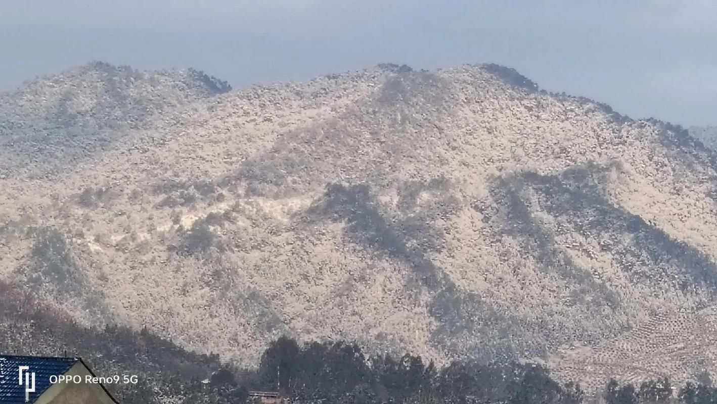 建阳香烟免税店在哪里买 建阳香烟免税店在哪里买正品