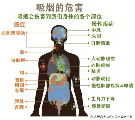 带人体器官的香烟叫什么 含人体器官的是