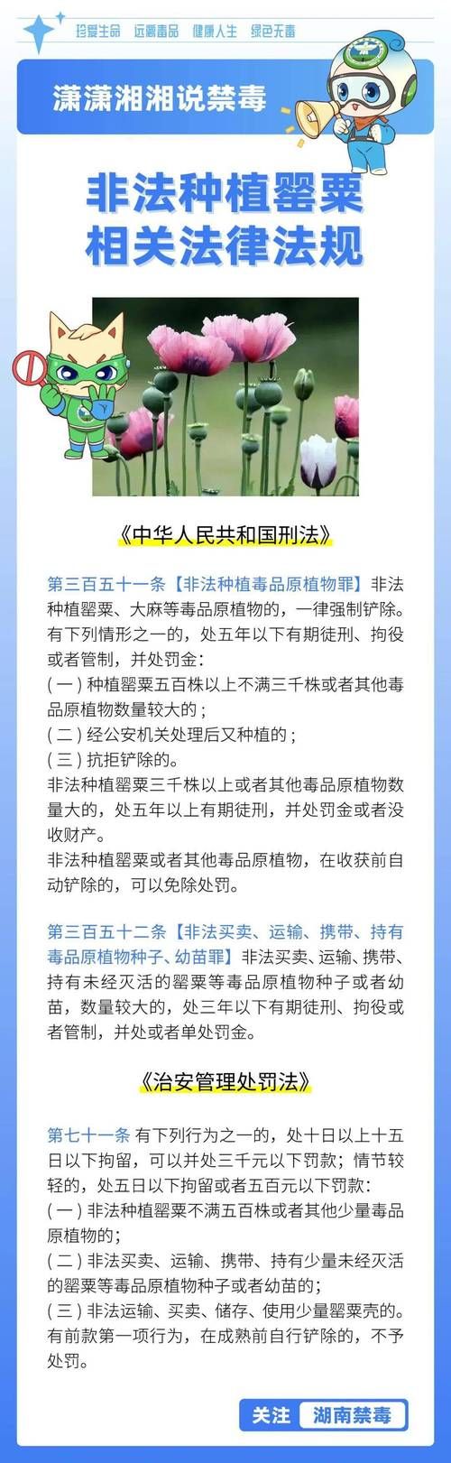 打击香烟案件有哪些内容 打击烟草