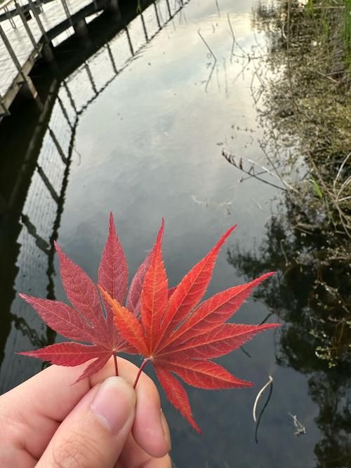 昆山哪里有老船长香烟 昆山哪里有老船长香烟卖