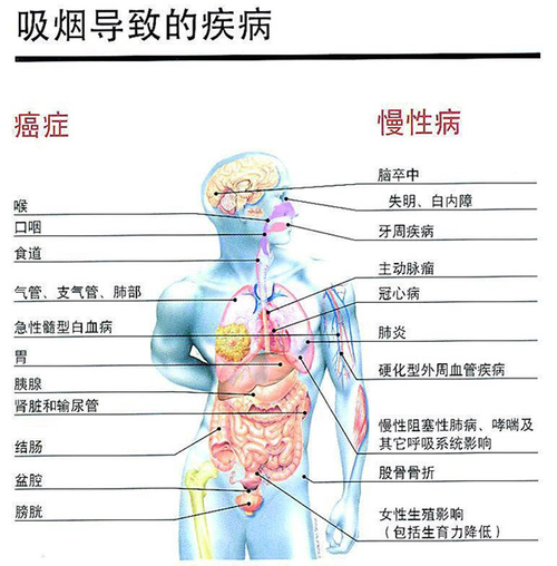 有哪些香烟对身体有益处 有哪些香烟对身体有益处呢