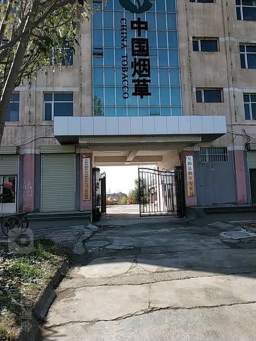 杨浦哪里能卖香烟的店 上海杨浦区烟草公司门店