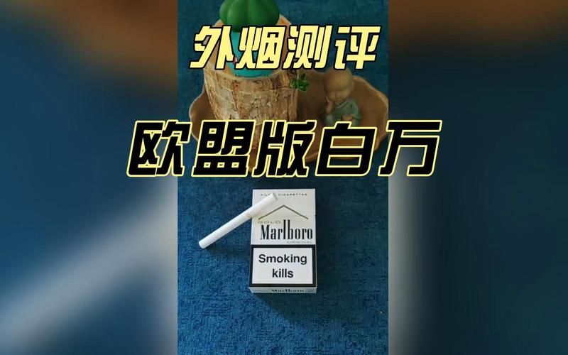 欧盟飞机香烟带多少 去欧洲可以带几条烟