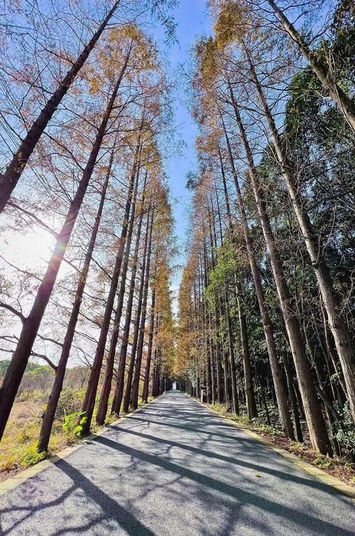 松南地区买香烟在哪里 松南地区买香烟在哪里买好