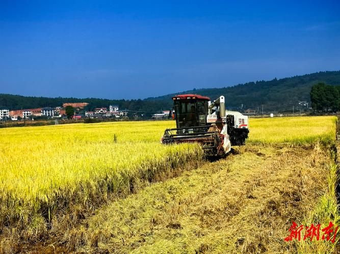 桂阳什么香烟好抽又便宜 桂阳什么香烟好抽又便宜又好抽