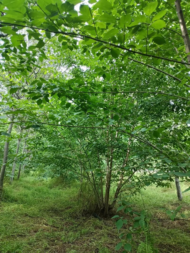 泰兴镇附近哪里有收香烟 泰兴市哪里有回收香烟的地方