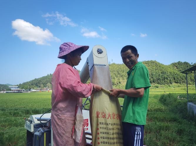 泰宁香烟有哪些牌子好抽 泰宁香烟有哪些牌子好抽的