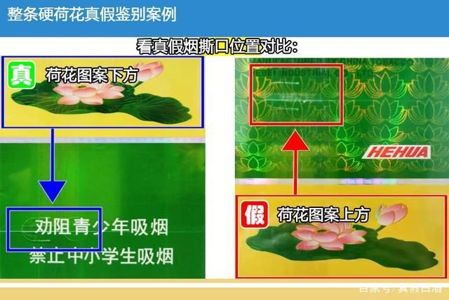 代工荷花烟口味怎么样啊 代工荷花烟口味怎么样啊知乎