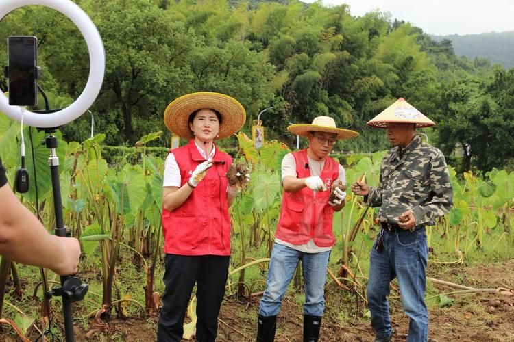 温州平阳香烟有哪些 平阳烟草公司电话号码