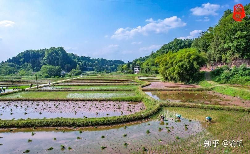 潼南回收香烟哪里有 潼南哪里在回收奢侈品