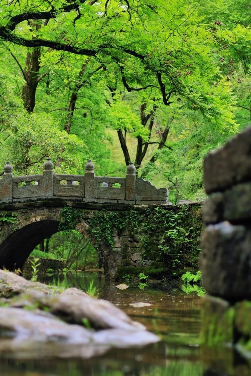 琅琊山哪里卖香烟 琅琊山香烟价格表一览