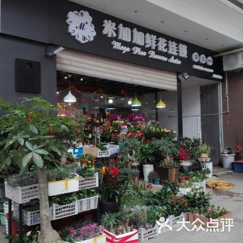 珠海鲜花加香烟店在哪里 珠海鲜花加香烟店在哪里啊