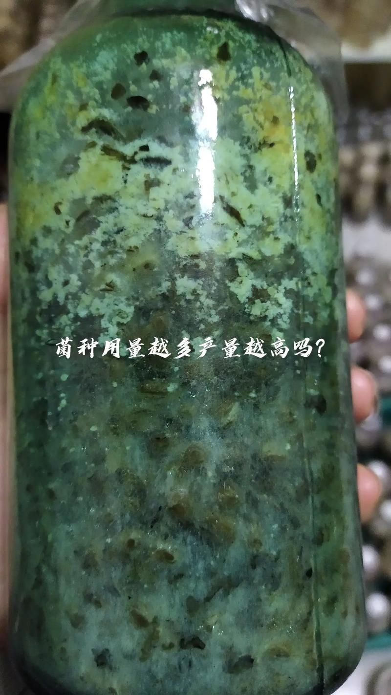 香烟有多少菌种啊