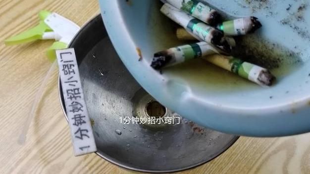 香烟用什么泡的最好呢图片