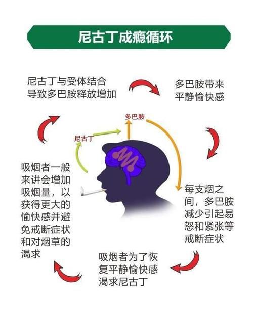 香烟减量反应有哪些表现 烟量减少身体会有什么反应