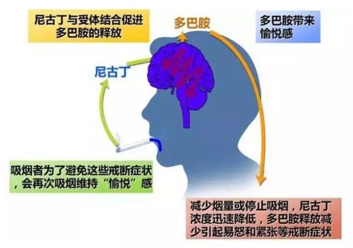 香烟戒断综合征吃什么 吸烟戒断综合症